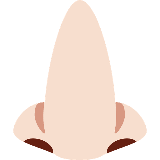 Nose Light Skin Tone