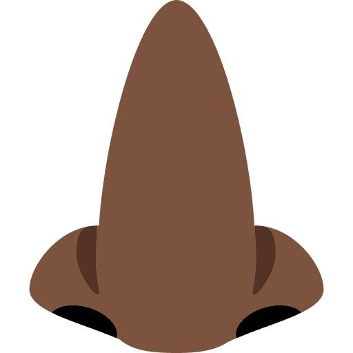 Nose Dark Skin Tone