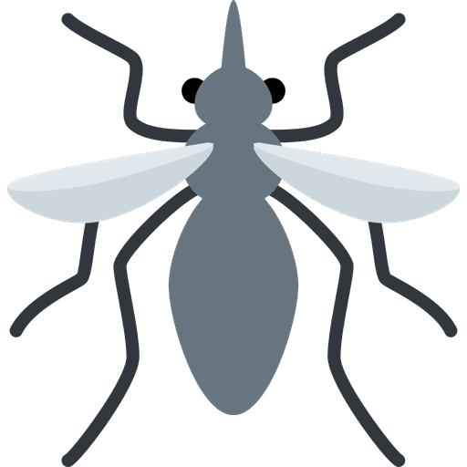 Mosquito