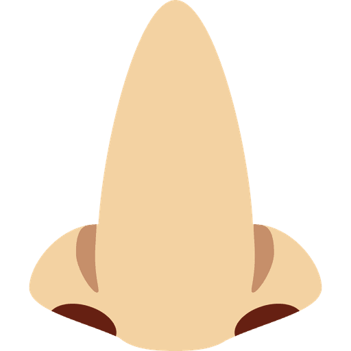 Nose Medium Light Skin Tone