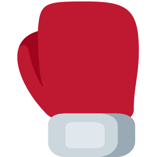 Boxing Glove