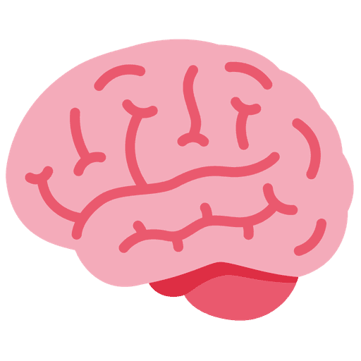 Brain